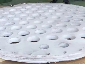 Molded PTFE filter plate (25-30mm thick)