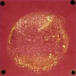 Physical Property Comparison of New vs Traditional Sintering Process